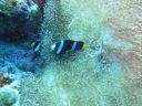 DSC00377.JPG