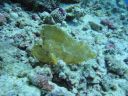 DSC00382.JPG