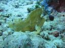 DSC00385.JPG