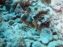 DSC00386.JPG