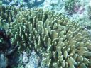 DSC00392.JPG