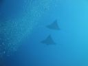 DSC00396.JPG