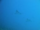 DSC00397.JPG
