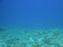 DSC00399.JPG