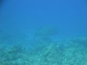 DSC00400.JPG