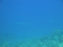 DSC00401.JPG