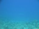 DSC00403.JPG