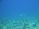 DSC00404.JPG
