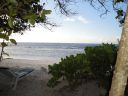 DSC00408.JPG