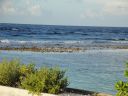 DSC00411.JPG