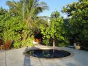 DSC00413.JPG