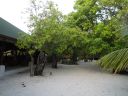 DSC00415.JPG