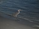 DSC00427.JPG