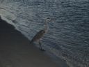 DSC00428.JPG