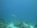 DSC00441.JPG