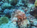 DSC00446.JPG