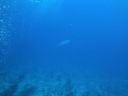 DSC00447.JPG