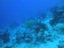 DSC00448.JPG