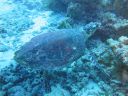 DSC00452.JPG