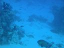 DSC00454.JPG