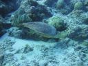 DSC00456.JPG