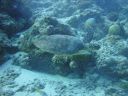 DSC00457.JPG