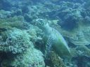 DSC00459.JPG