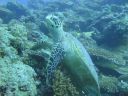 DSC00460.JPG