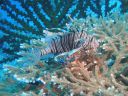 DSC00466.JPG