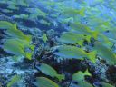 DSC00473.JPG