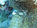 DSC00477.JPG