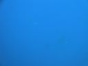 DSC00480.JPG