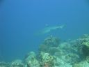 DSC00487.JPG