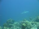 DSC00488.JPG