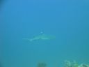 DSC00489.JPG