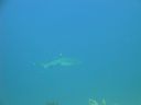 DSC00490.JPG