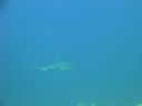 DSC00491.JPG