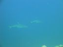 DSC00494.JPG
