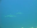 DSC00495.JPG