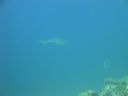 DSC00502.JPG