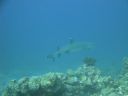 DSC00504.JPG
