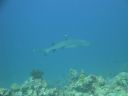 DSC00506.JPG