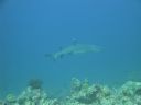 DSC00507.JPG