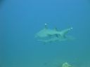 DSC00508.JPG