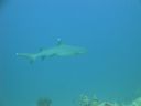 DSC00509.JPG