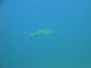 DSC00510.JPG