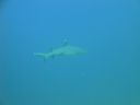 DSC00511.JPG