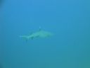 DSC00512.JPG