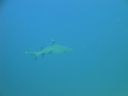 DSC00513.JPG