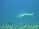 DSC00515.JPG